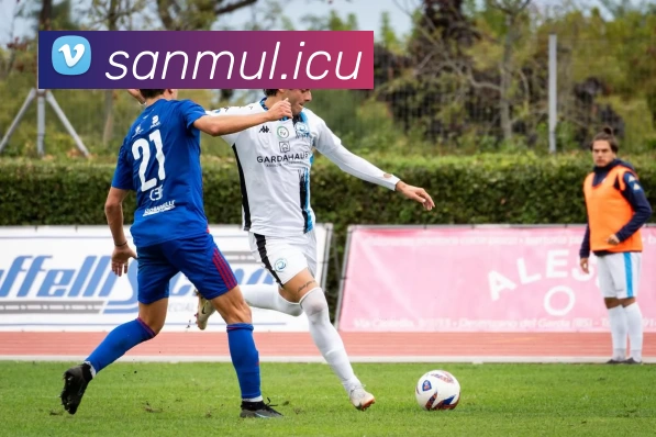 九游(JIUYOU.COM)体育第一门户 - 官方网站平台生态图